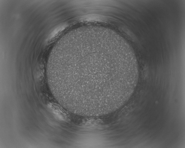 X0000078020824200611031454