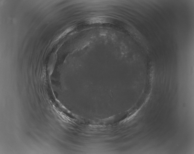 X0000078020825200611031454