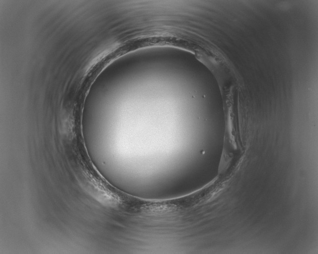 X0000078020826200611031454