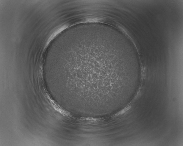 X0000078020827200611031454