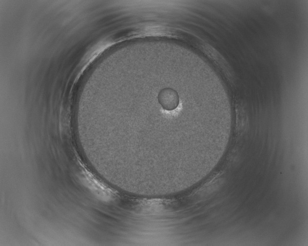 X0000078020828200611031454