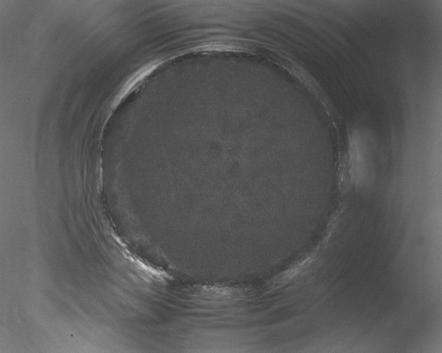 X0000078020829200611031454