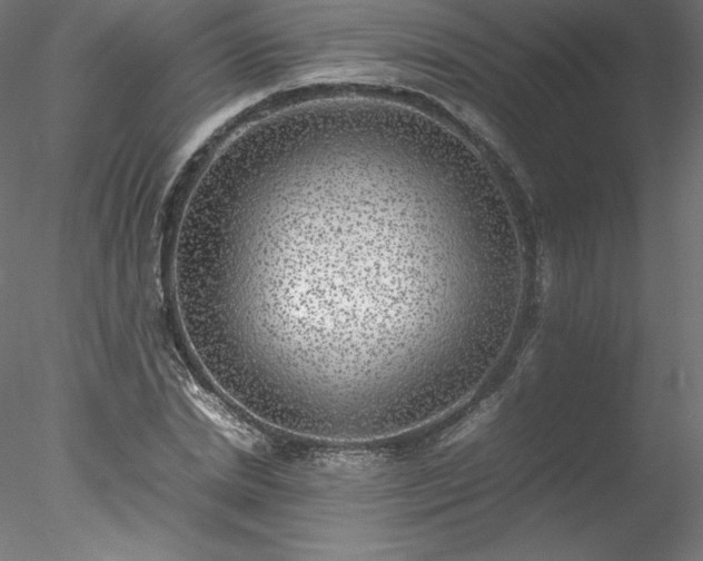 X0000078020830200611031454