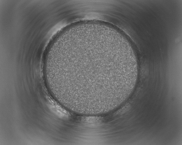 X0000078020832200611031454