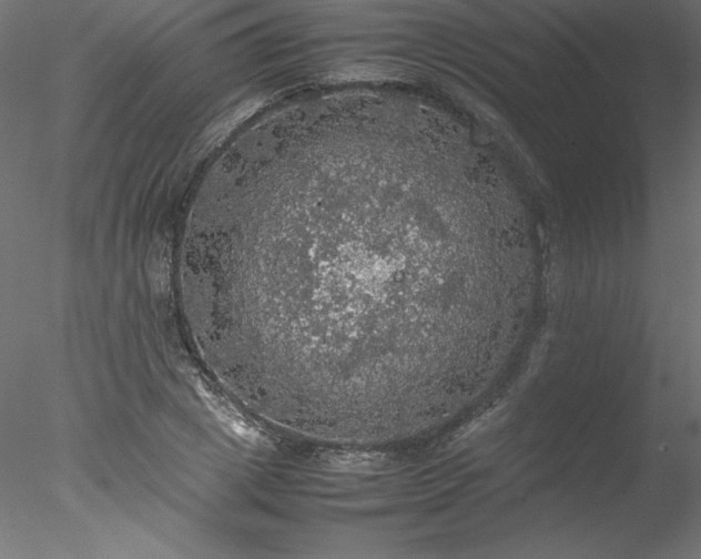 X0000078020833200611031454