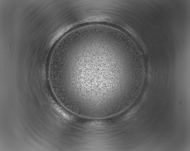 X0000078020834200611031454