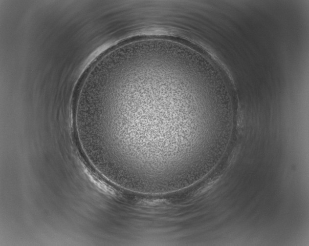 X0000078020837200611031454