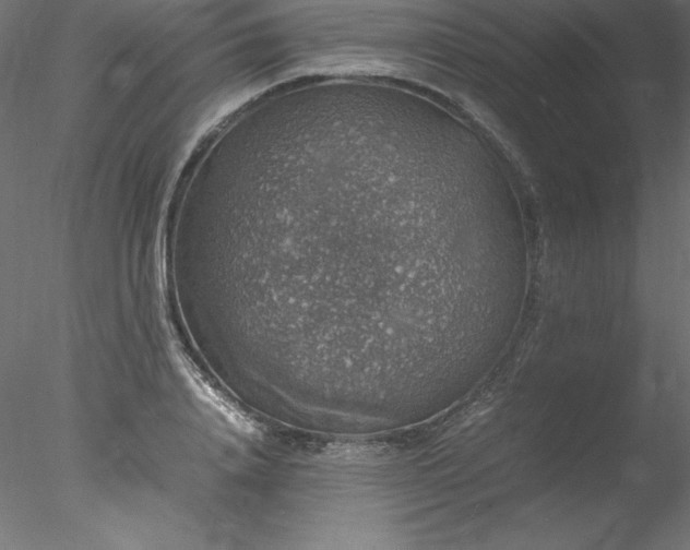 X0000078020840200611031454