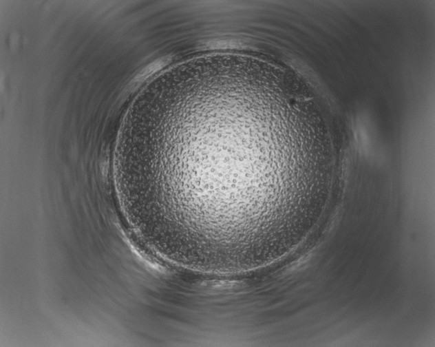 X0000078020841200611031454