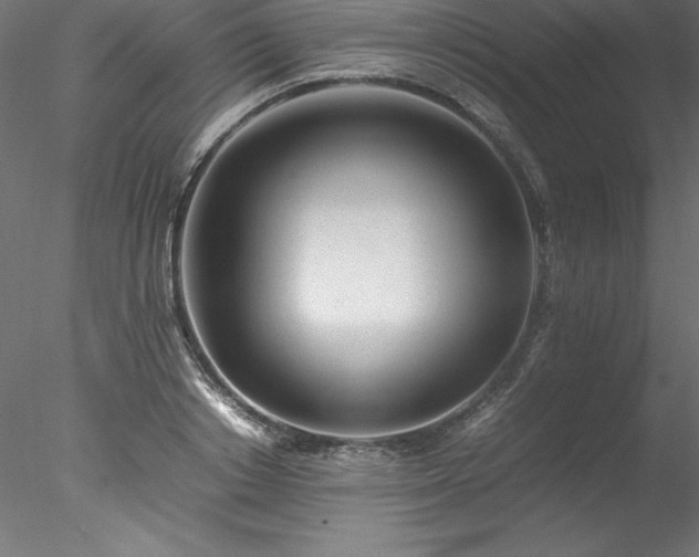 X0000078020842200611031454