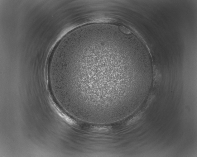 X0000078020843200611031454