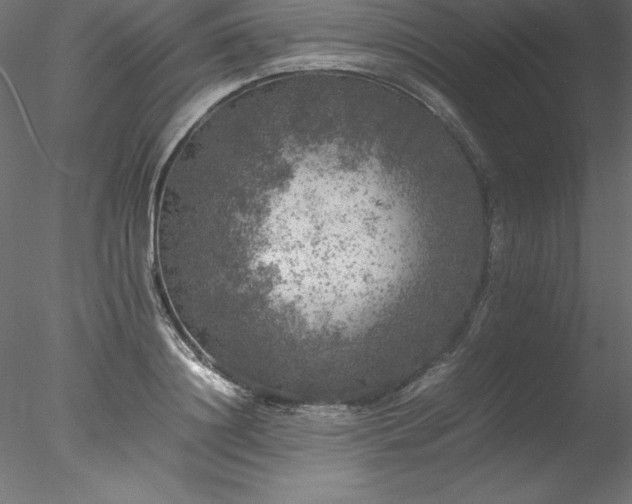 X0000078020844200611031454