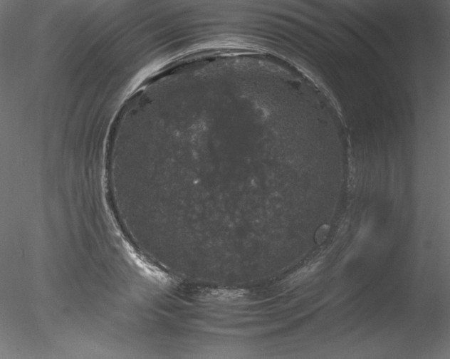 X0000078020845200611031454