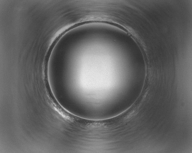 X0000078020846200611031454