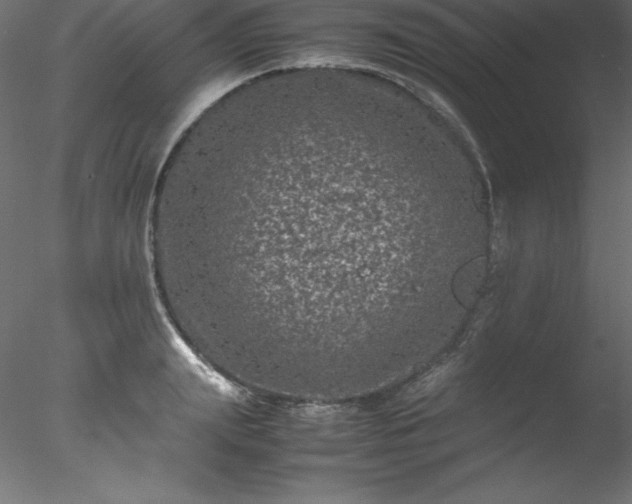 X0000078020847200611031454