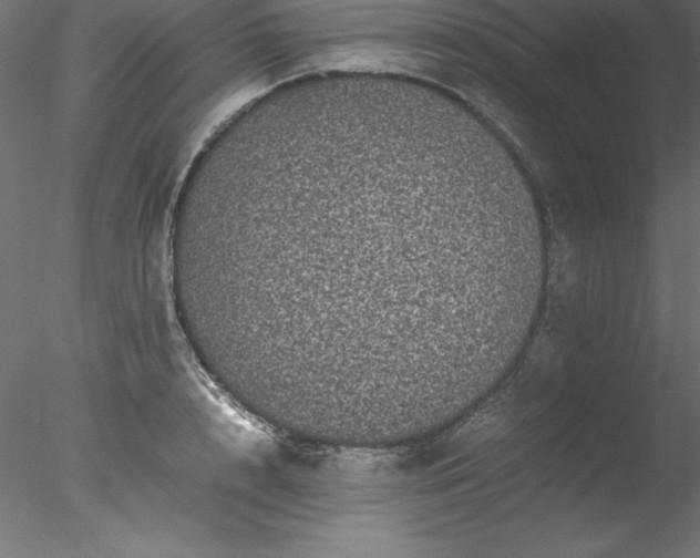 X0000078020848200611031454