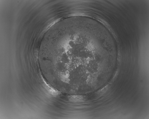 X0000078020849200611031454