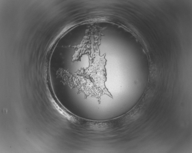 X0000078020851200611031454