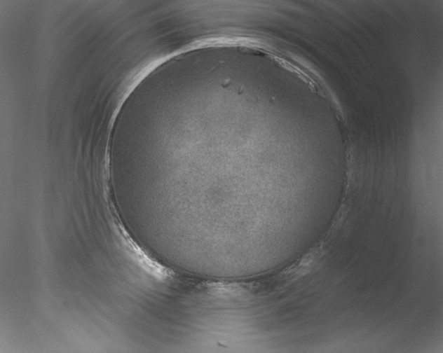 X0000078020852200611031454