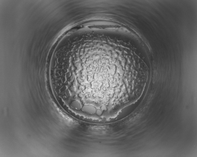 X0000078020853200611031454