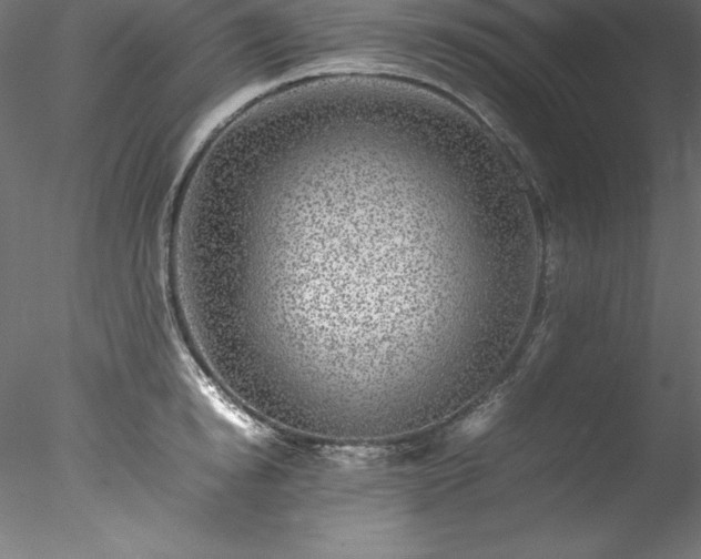 X0000078020854200611031454