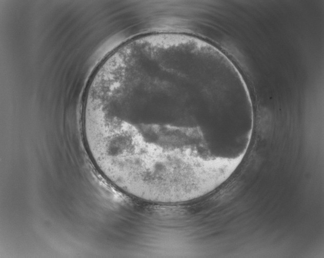 X0000078020856200611031454