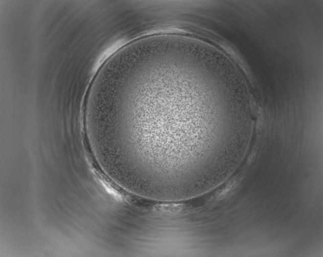 X0000078020858200611031454