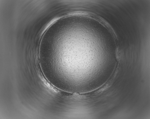 X0000078020860200611031454