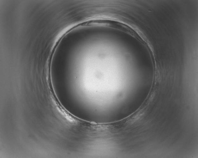 X0000078020862200611031454