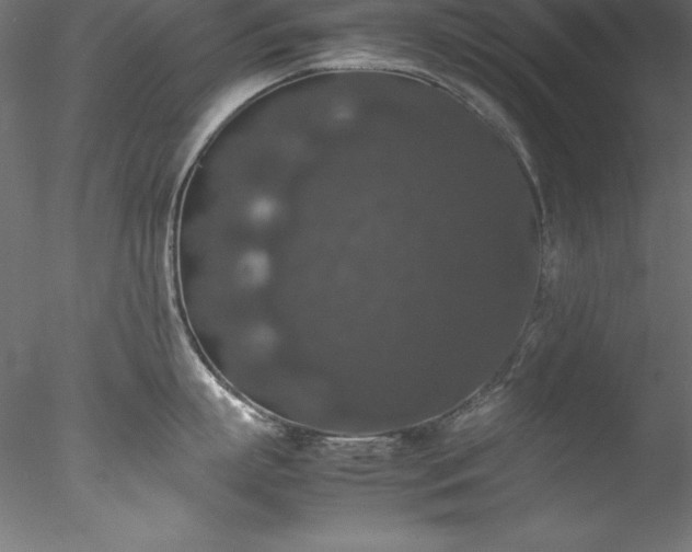 X0000078020863200611031454