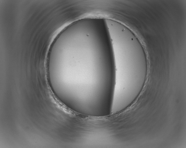 X0000078020864200611031454