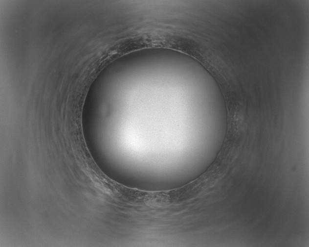 X0000078020865200611031453