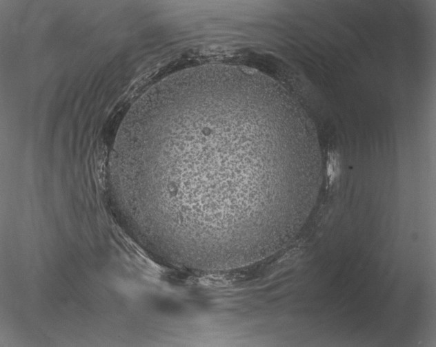 X0000078020867200611031453