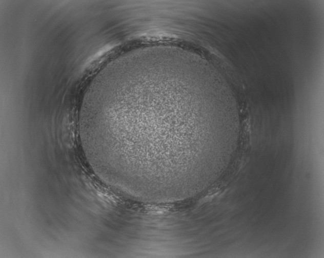 X0000078020870200611031453