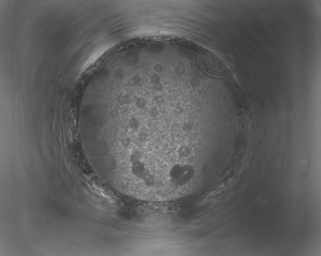 X0000078020871200611031453