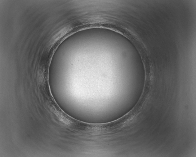 X0000078020873200611031453