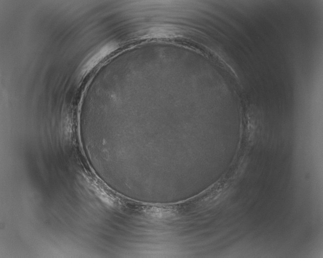 X0000078020874200611031453