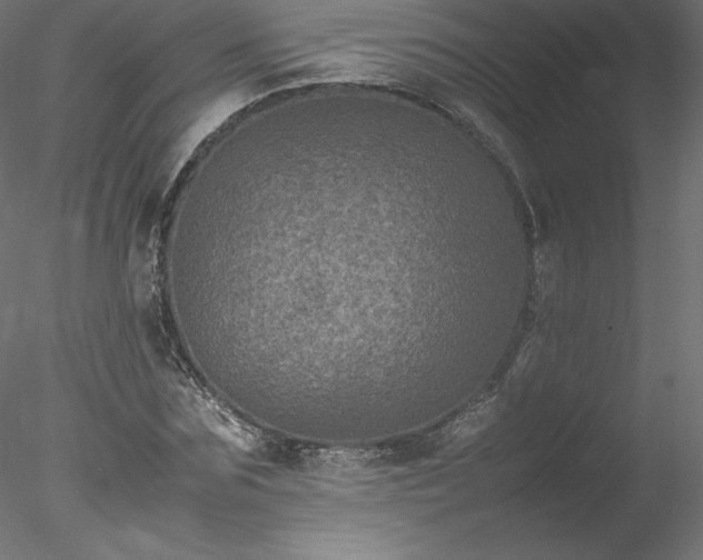 X0000078020875200611031453