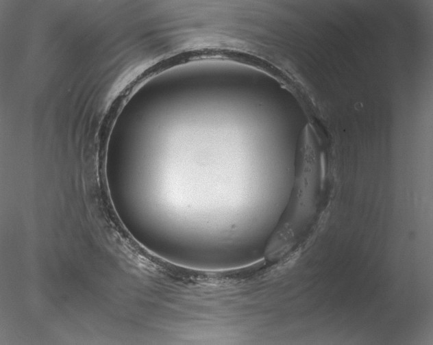 X0000078020877200611031453