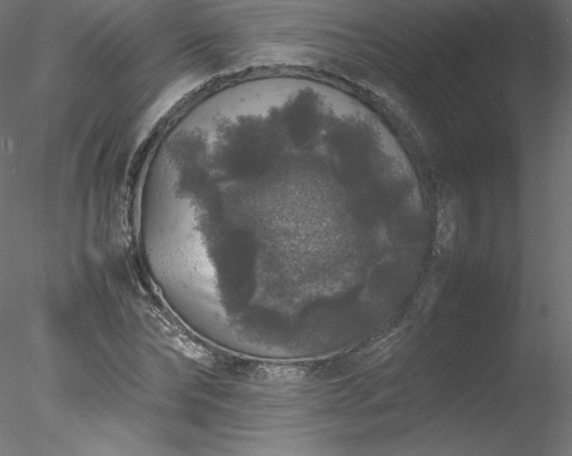 X0000078020878200611031453