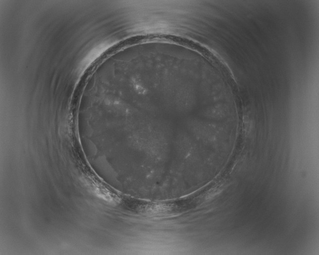 X0000078020879200611031453