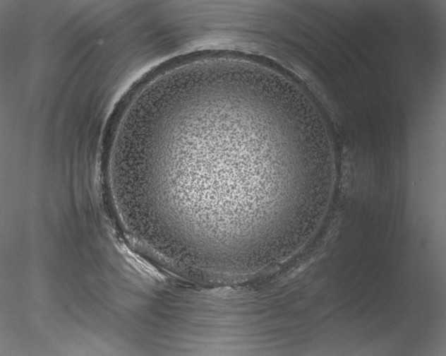 X0000078020880200611031453