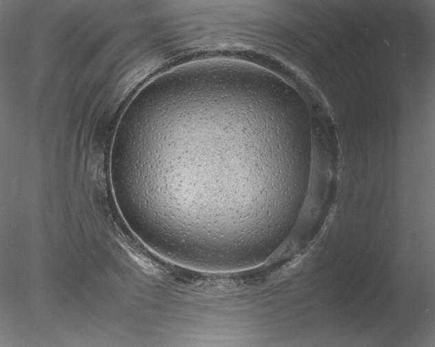 X0000078020881200611031453