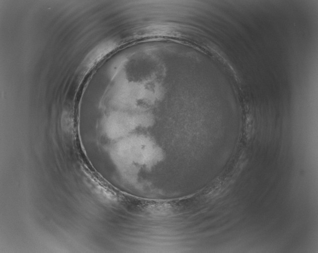 X0000078020882200611031453