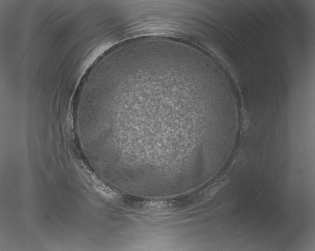 X0000078020883200611031453