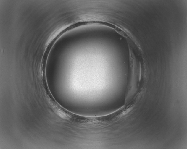 X0000078020885200611031453