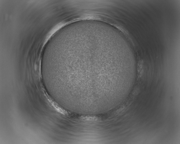 X0000078020886200611031453