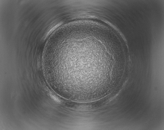 X0000078020889200611031453