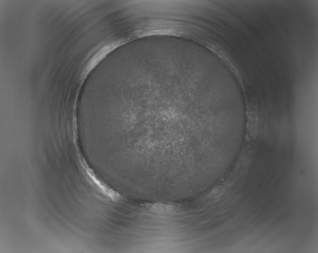 X0000078020890200611031453