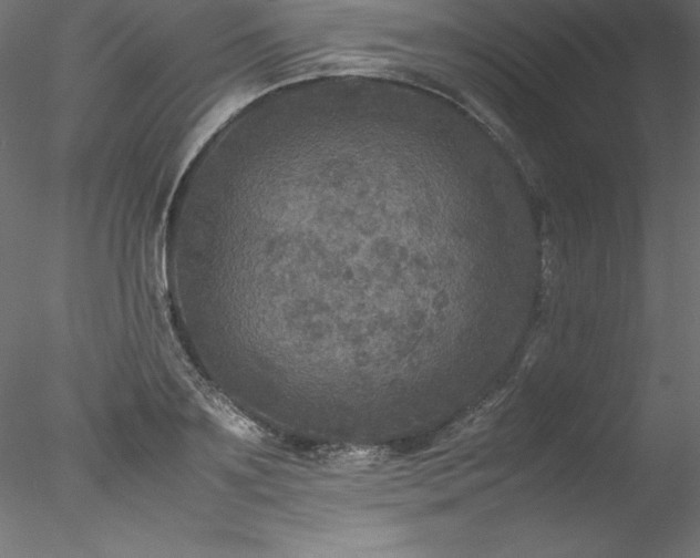 X0000078020891200611031453